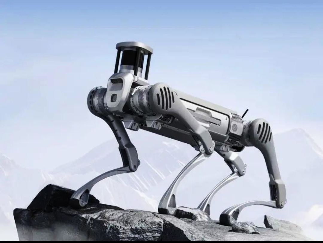 Robot Dog